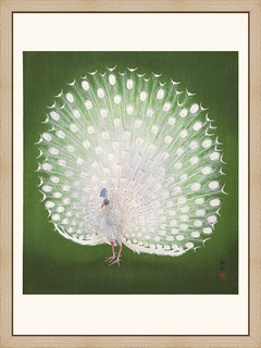 Paon--Ohara-Koson-(1936)---Ohara-Koson