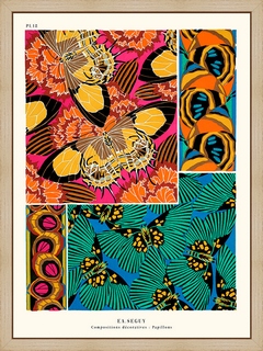 Papillons-Seguy-PL18