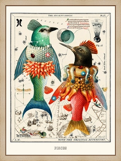 Pisces---Beto-Val