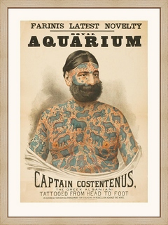 Captain-Costantenus