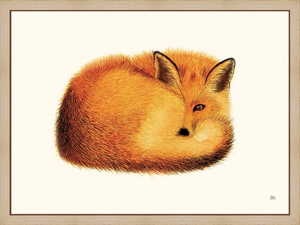 Renard---Helene-Montfort