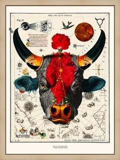 Taurus---Beto-Val