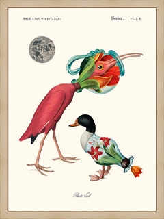 Two-birds---Beto-Val