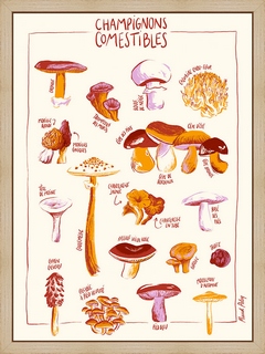 Champignons-Maud-Peloq---Maud-Peloq