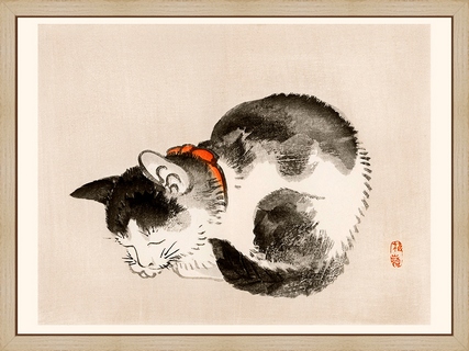 Chat-endormi---Kono-Bairei