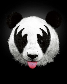 Image f374d Panda Rocks panda  Robert Farkas