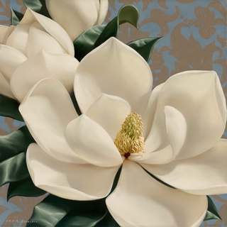 Image gogv12438 Dolce Magnolia FLEURS   Igor Levashov