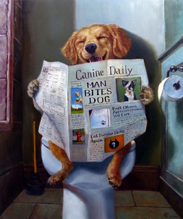 Image h1118d Dog Gone Funny HUMOUR ANIMAUX  Lucia Heffernan
