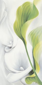 ig1492-Calla-II---Annette-Schmucker