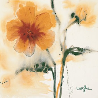 ig1643-Les-Pensees-II-FLEURS---Marthe