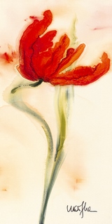 Image ig2887 Tulipe I FLEURS   Marthe
