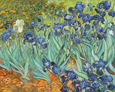 ig4228-Iris-ART-CLASSIQUE---Vincent-van-Gogh