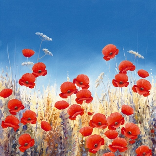 Image ig4520 Dancing Poppies Hilary Mayes