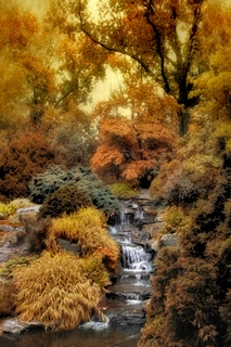 ig6772-Japanese-Rock-Garden-PAYSAGE---Jessica-Jenney