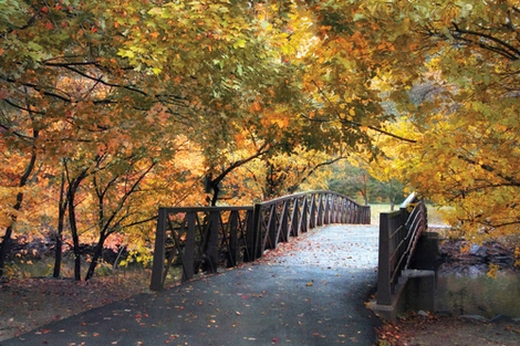 Image ig6774 Autumn Overpass PAYSAGE   Jessica Jenney