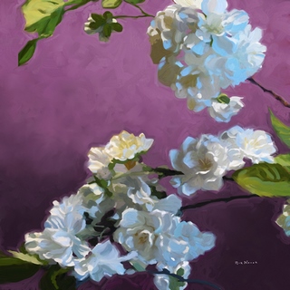 ig6791-Blossom-I-FLEURS---Rick-Novak