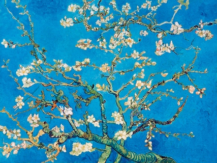Image ig6829 Amandier en fleurs San Remy 1890 ART CLASSIQUE   Vincent Van Gogh