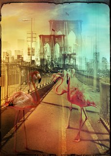 Image ig8524 Zoo City - Flamingos André Sanchez ART MODERNE 