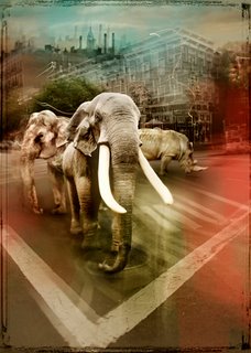 Image ig8525 Zoo City - Elephants André Sanchez ART MODERNE 