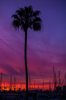 Image ig8618 Sunset Sailing Tom Lichtenwalter