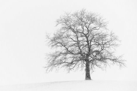 Image ig8919 Wintersturm I PAYSAGE   Uwe Steger