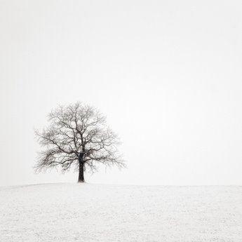 Image ig8920 Wintersturm II PAYSAGE   Uwe Steger