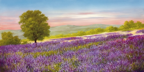 ma2820-Lavender-Field-PAYSAGE---Heinz-Schollnhammer