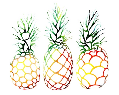 n336d-Retro-Pineapples-Sam-Nagel