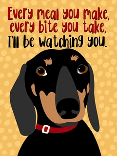 o419d-Ginger-Oliphant-Dachshund-Every-Meal-You-Make