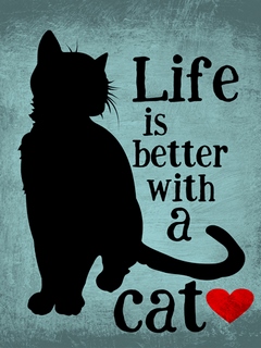 Image o423d Ginger Oliphant Life is Better with a Cat