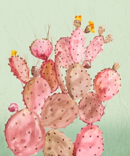 pi1052-Pink-Cacti-Aimee-Wilson