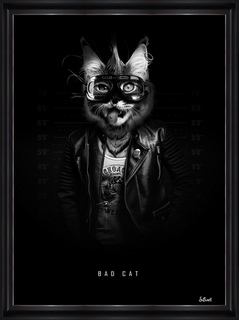 Tableau Sylvain Binet Bad-Cat