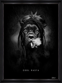 Tableau Sylvain Binet Cool-Rasta