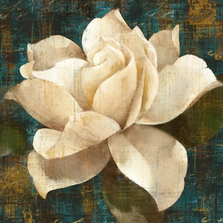 wa10529-Gardenia-Blossom-Turquoise-FLEURS---Albena-Hristova