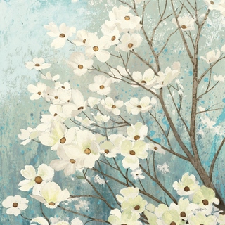 Image wa10952 Dogwood Blossoms I FLEURS   James Wiens