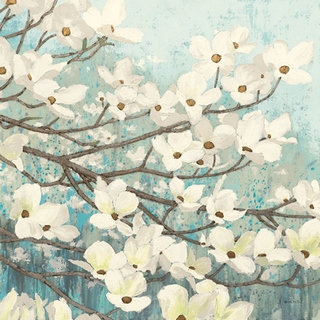 Image wa10953 Dogwood Blossoms II FLEURS   James Wiens