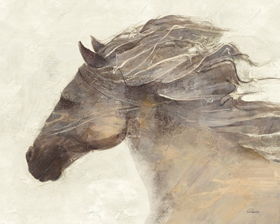Image wa18666 Into the Wind Ivory Albena Hristova cheval