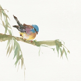 wa23938-Finch-oiseaux---Chris-Paschke