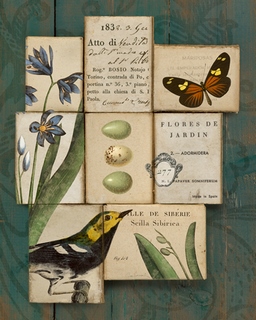 wa2883-Birds-and-Butterflies-I-Sue-Schlabach