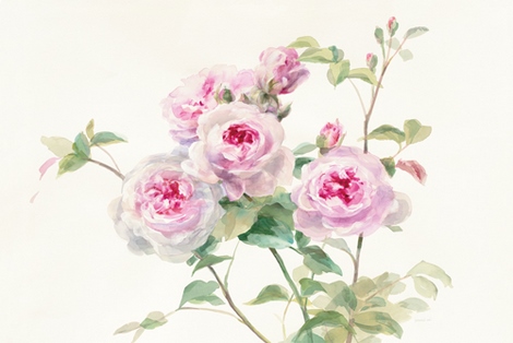 wa35346-Sweet-Roses-on-White-Green-Danhui-Nai-FLEURS-