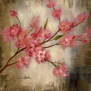Image wa7887 Cherry Blossom I FLEURS   Silvia Vassileva