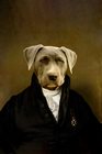 MONSIEUR-REX-80X120