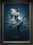 Bad-Camel