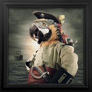 Captain-Coco