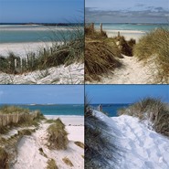 DUNE154C4