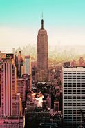 IJBICNY80120