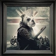 Punk-Dog
