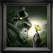 Singe-papillon