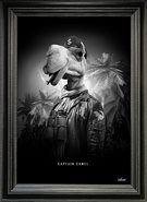Tableau-Captain-Camel
