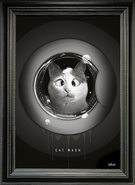 Tableau-Cat-Wash
